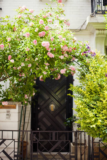 istock old door near roses 992097116