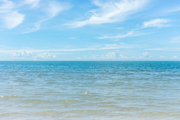 istock Empty beautiful sea water ocean on sandy tropical beach and blue sky clouds background. copy space 992111558