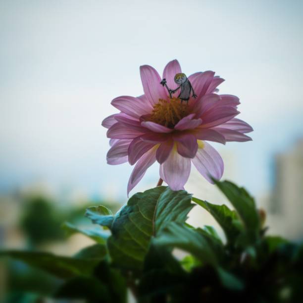 A boy with summer flowers stands on the flower.