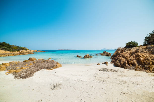 istock rocks and seaweeds in Sardinia 992129532