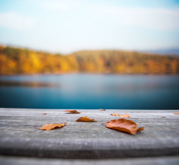 istock Autumn By The Lake 992129610