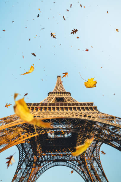 Photo of Autumn In Paris