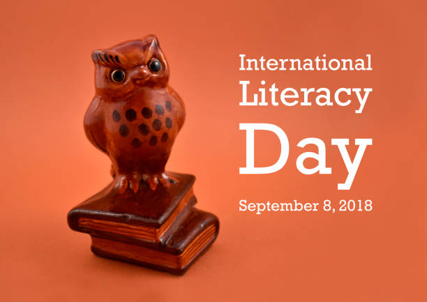 istock International Literacy Day illustration 992133010