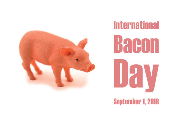 istock International Bacon Day illustration 992133444