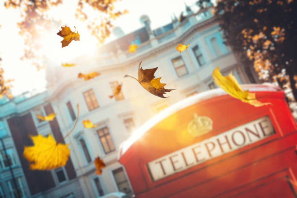 caen hojas de otoño en londres - autumn leaf falling wind fotografías e imágenes de stock