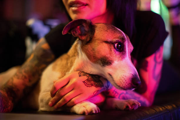 istock Beautiful young woman with dog 992145222