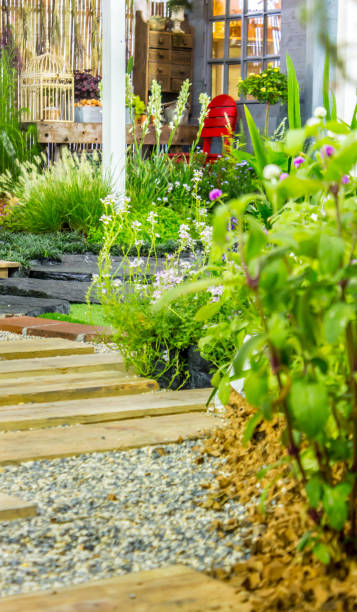 istock Relaxing area in cozy garden. 992179146