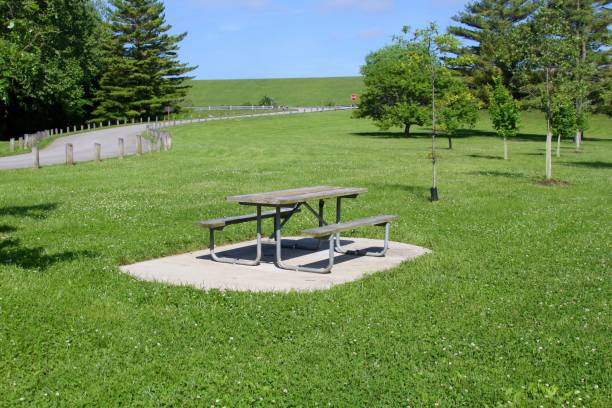 istock Picnic in the Green Grass Lawn 992199684