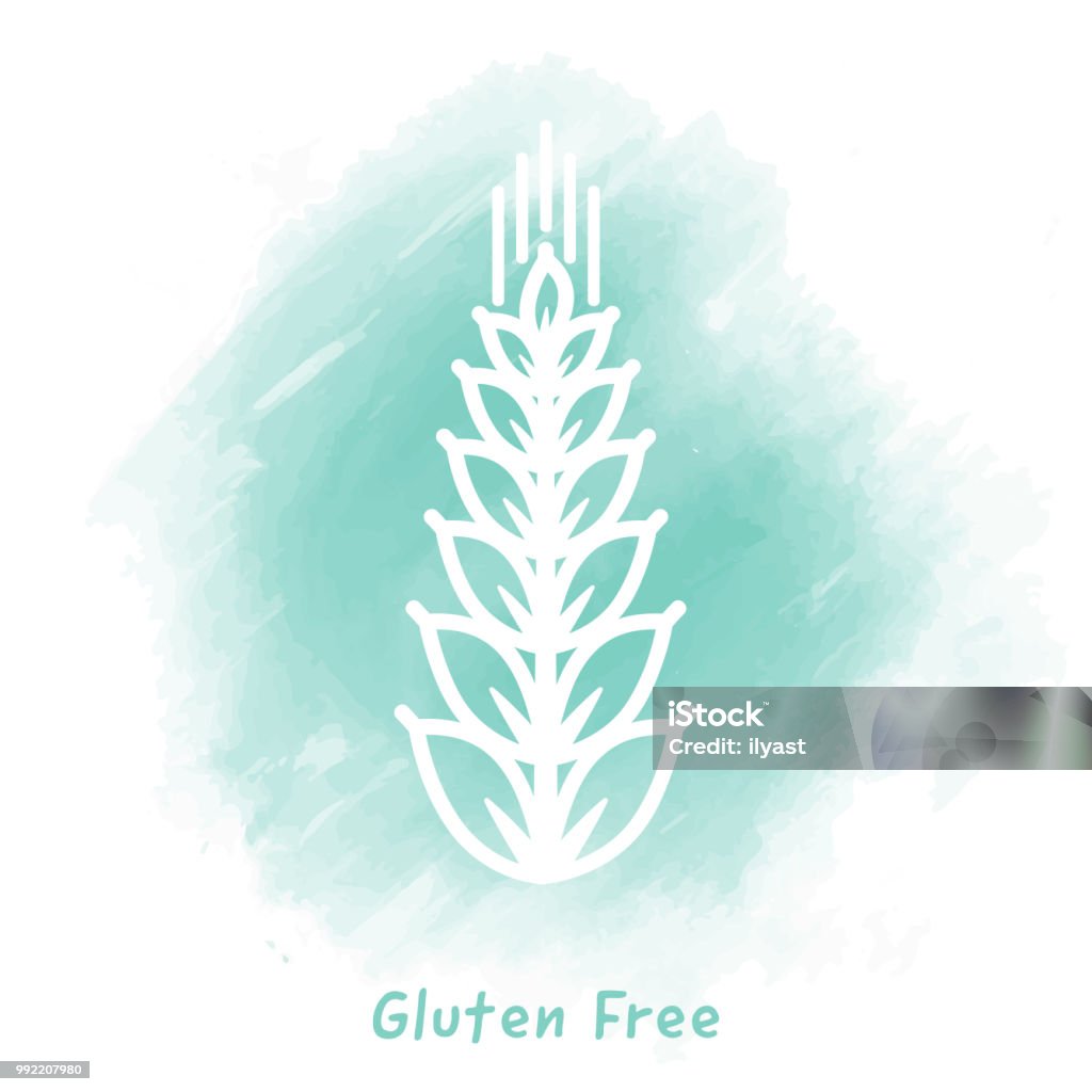 Gluten Free Doodle Watercolor Background Vector wheat plant doodle sketch over watercolor background. Corn stock vector