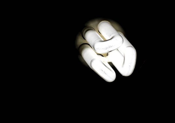 Details of a fluorescent lamp attached in a dark environment.