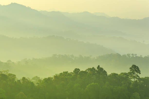 istock Panoramic view misty morning sunrise in mountain at north Thailand 992216818