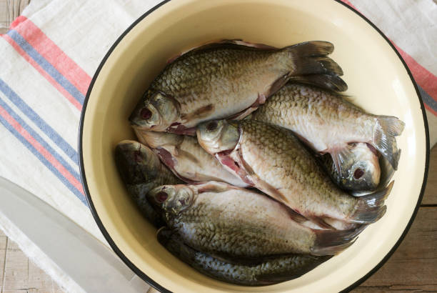 istock Fresh cleaned river carp in a metal basin on a table. 992263262