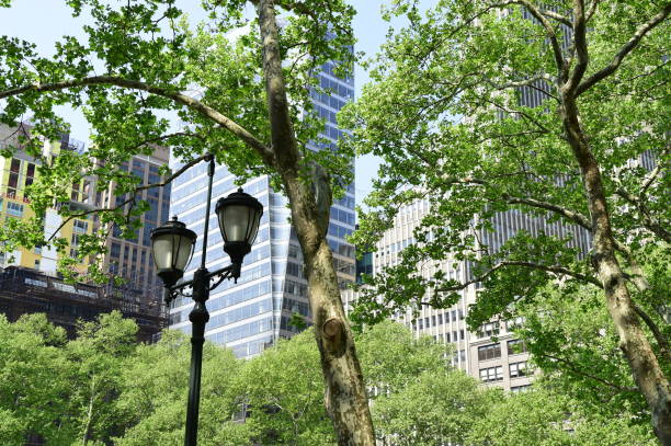 istock New York City Buildings 992271528