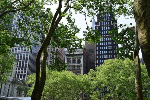 istock New York City Buildings 992271588