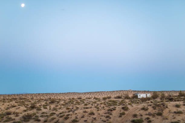 istock Solitude at the Joshua Tree National Park 992277376