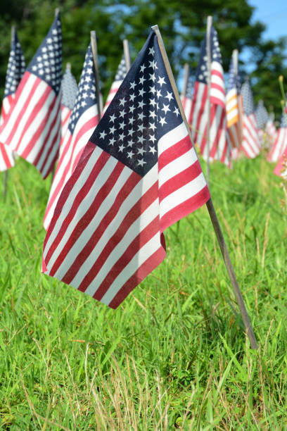 istock small american flags in a field of grass 992286240