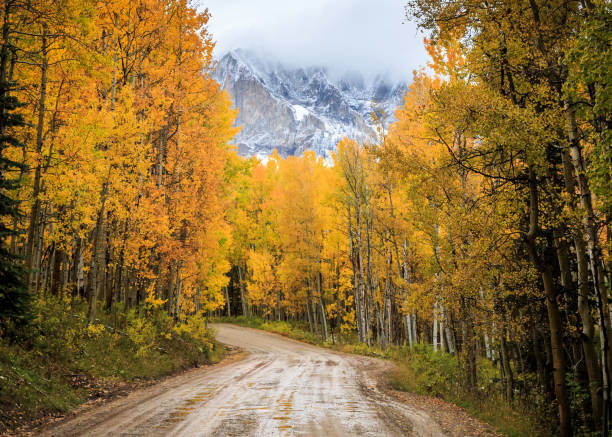 콜로라도의을 풍경-콜로라도 록 키 산맥의 아름 다운 아름다움 - rocky mountains colorado autumn rural scene 뉴스 사진 이미지