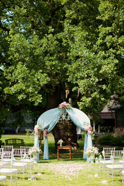 istock wedding arch with pink and blue decorations 992288182