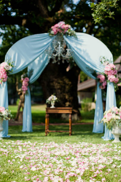 istock wedding arch with pink and blue decorations 992288232