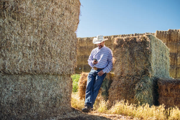 istock Portrait of Utah  cowboy 992296144