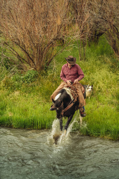 istock Utah Cowboy riding across the river 992299800