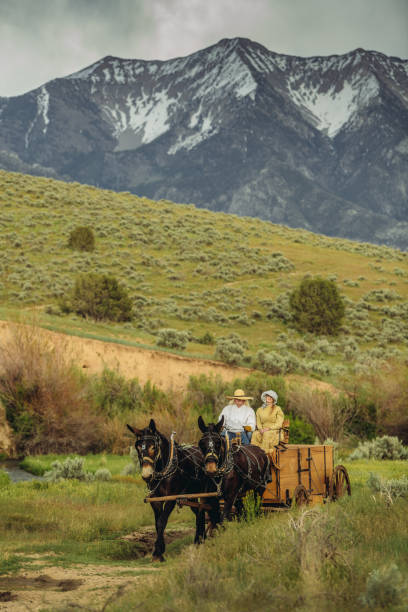 istock Utah ranchers on wagon and horse 992303130