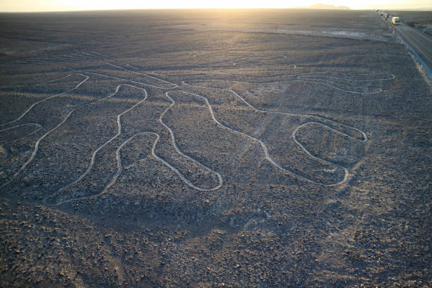 słynne duże starożytne geoglify linie nazca zwane arbol (drzewo), widok z wieży widokowej na pustyni nazca w peru - ice texture zdjęcia i obrazy z banku zdjęć