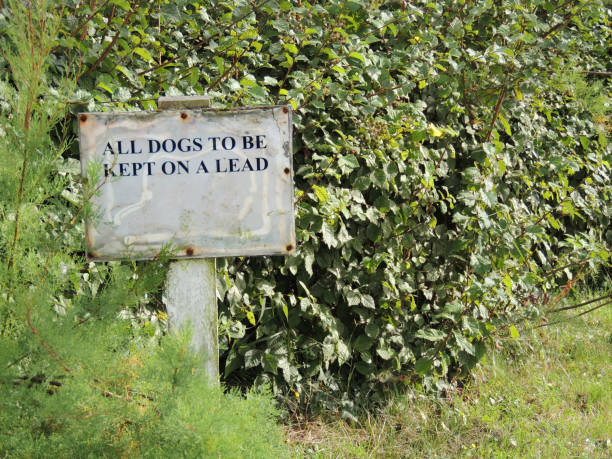 istock Rural Signpost - 