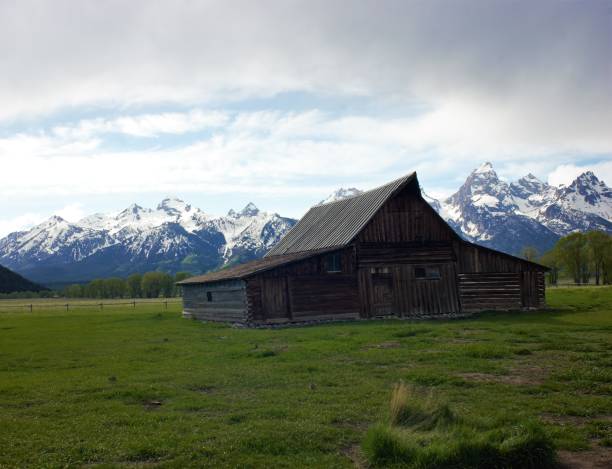istock T. A. Moulton Barn 992351690