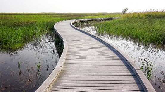 Boardwalk curves through  a marsh and wetlands at Sabine National Wildlife Refuge in Louisiana
