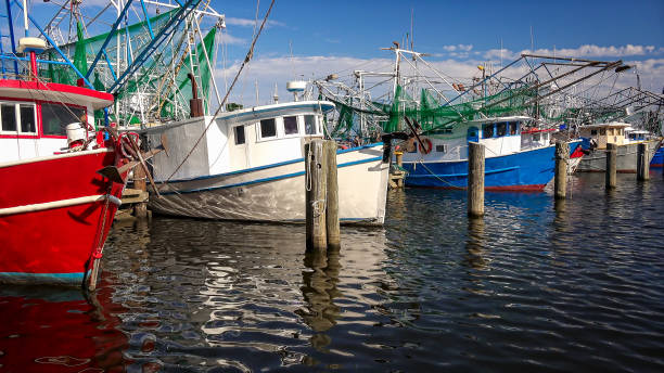 pescherecci per la pesca di gamberetti nel porto di biloxi, mississippi - barca per pesca di gamberetti foto e immagini stock