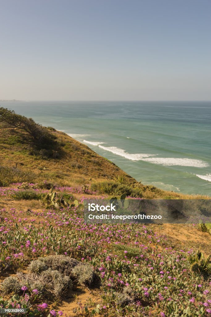 Torrey Pines State Park View of the ocean from  Torrey Pines State Park, San Diego Beach Stock Photo