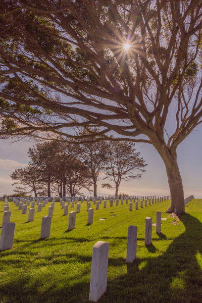 istock Sunburst at Fort Rosecrans National Cemetery 992355904