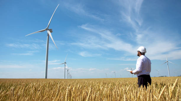 istock Worker of a wind power plant in a yellow wheat field 992386068