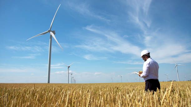 istock Worker of a wind power plant in a yellow wheat field 992386072