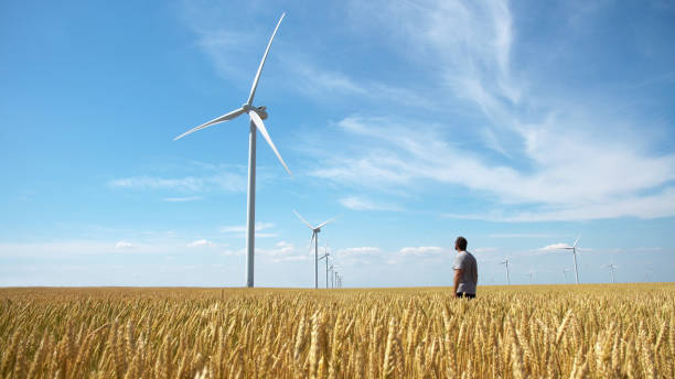 homme sur un champ jaune du blé avec les éoliennes pour la production d’énergie électrique - farm scenics landscape alternative energy photos et images de collection