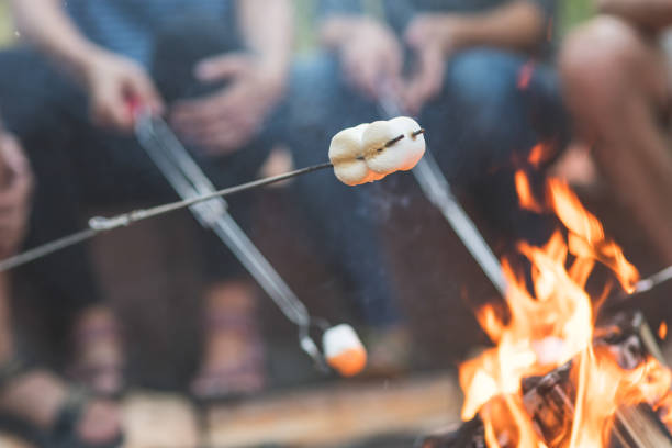 istock Smores by the campfire 992423926
