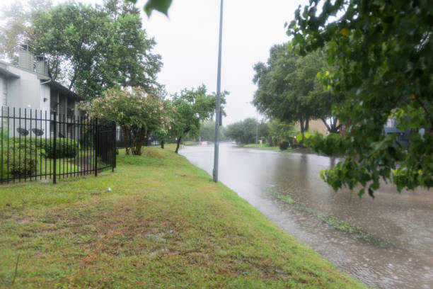 istock Images of Hurricane Harvey 992441662