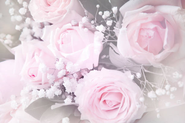 istock soft pink roses bouquet romantic background 992451824