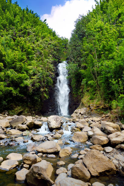 마우이 섬, 하와이 하나에 유명한도 따라 위치한 폭포의 아름 다운 보기 - hawaii islands maui hana road 뉴스 사진 이미지