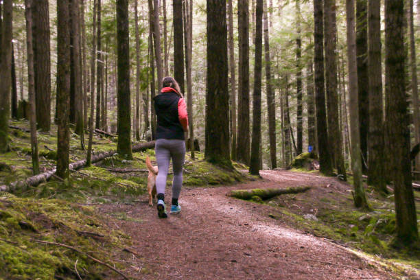 istock Running in British Columbia Forest 992461932