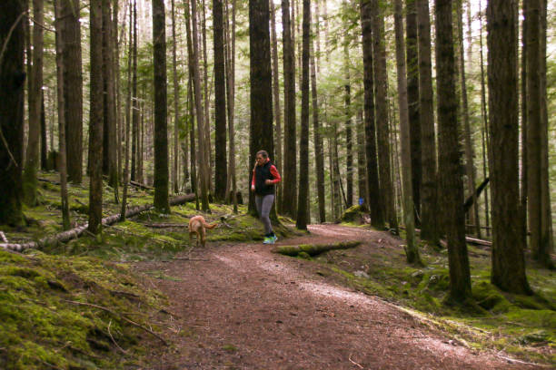 istock Running in British Columbia Forest 992461972
