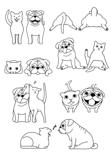 bildbanksillustrationer, clip art samt tecknat material och ikoner med uppsättning par katt och hund - yawn