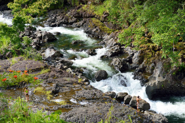 cascata majesitc pee pee falls a hilo, wailuku river state park, hawaii, - hawaii islands big island waterfall nobody foto e immagini stock