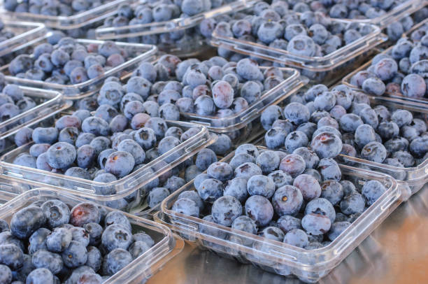 istock Ripe Organic Blueberries in Containers 992464832