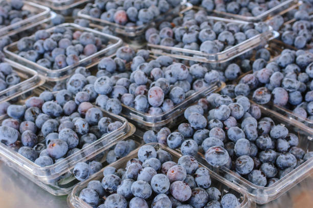 istock Ripe Organic Blueberries in Containers 992465320