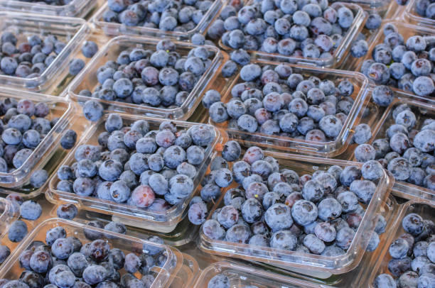 A white tray filled with fresh, plump blueberries against a bright blue background. This vibrant and minimalist composition highlights the deep blue tones of the berries, making it perfect for themes related to healthy eating, organic produce, summer fruits, or superfoods. Ideal for use in culinary blogs, nutrition articles, and food-related advertising.