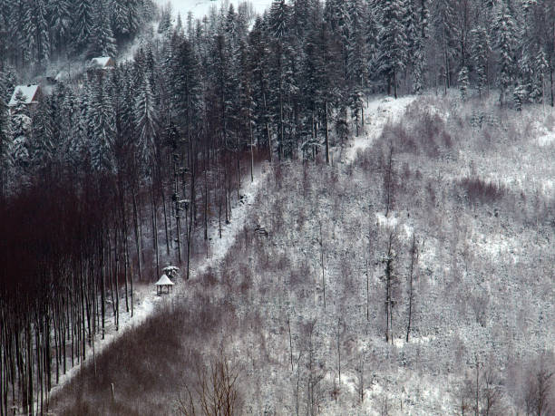 istock Wooden bower at the mountainside 992475476