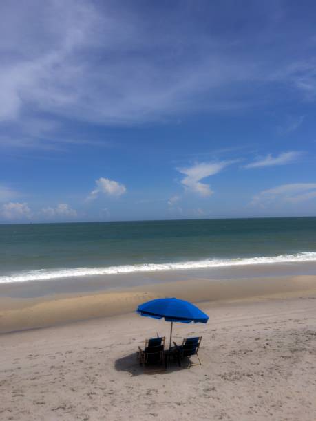 istock Peaceful day at the Beach 992486626