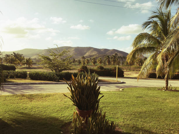 18-028 Sunny landscape in Cuba stock photo